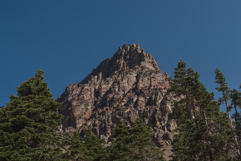 green trees across brown cliffs