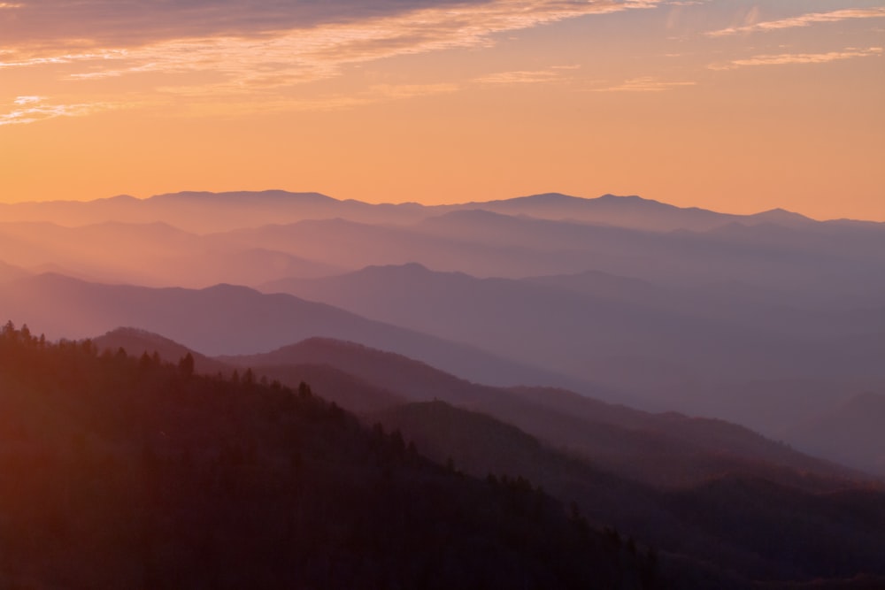 Great Smoky Mountains Pictures Download Free Images On Unsplash