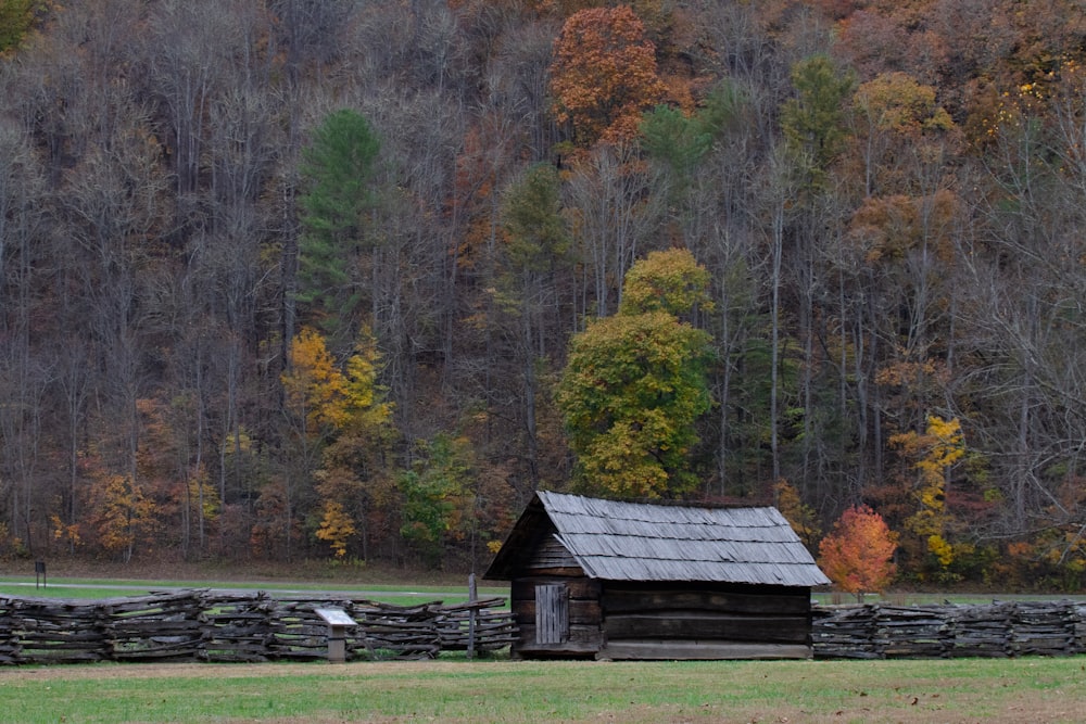 gray house beside trees