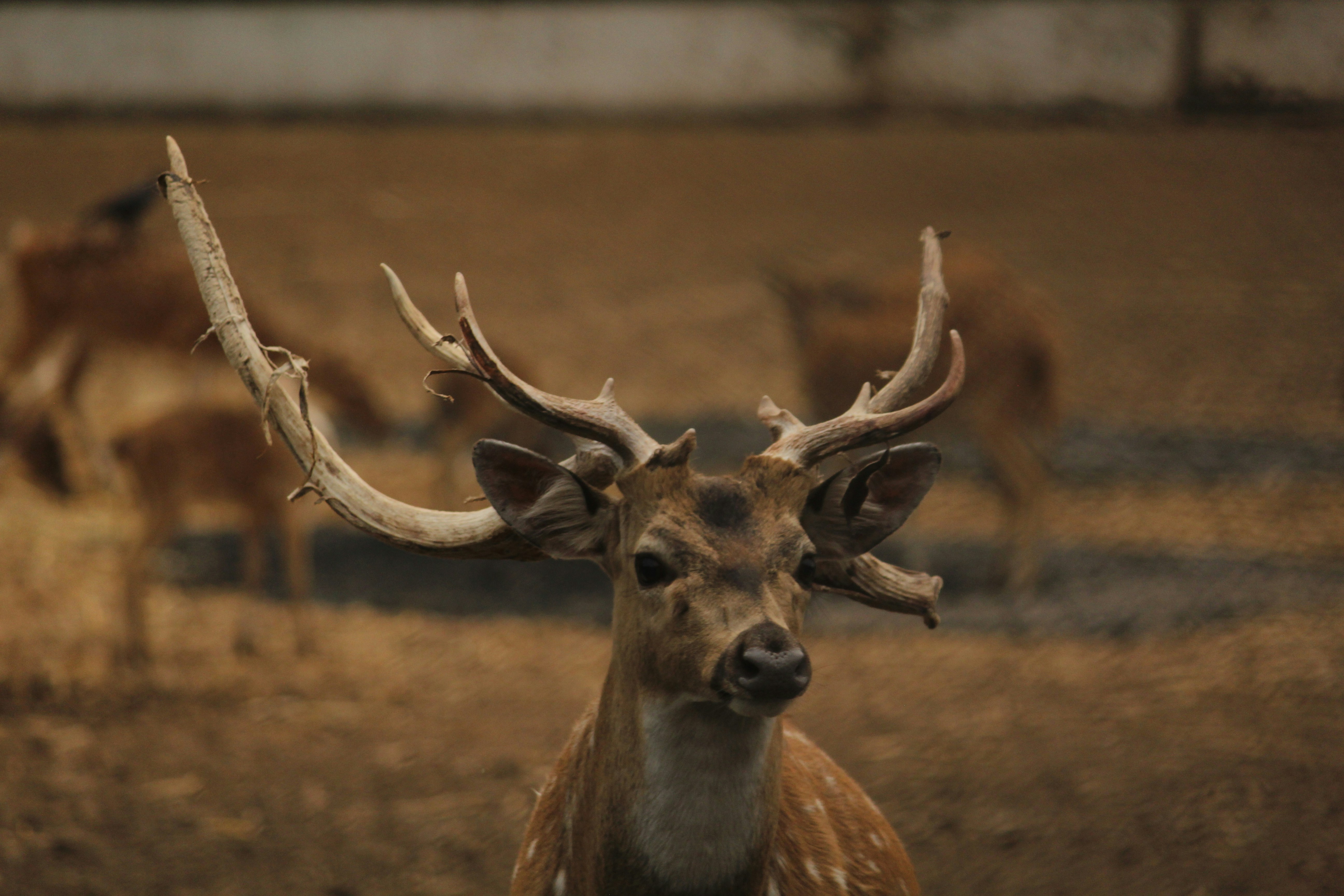 Photo by tom_007