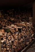 A large stack of chopped firewood is neatly arranged under a shelter. The logs vary in size, with exposed cut surfaces showing shades of brown and beige. Some pieces have remnants of bark and moss, indicating the natural origin of the wood. The setting suggests a rustic or outdoor environment.