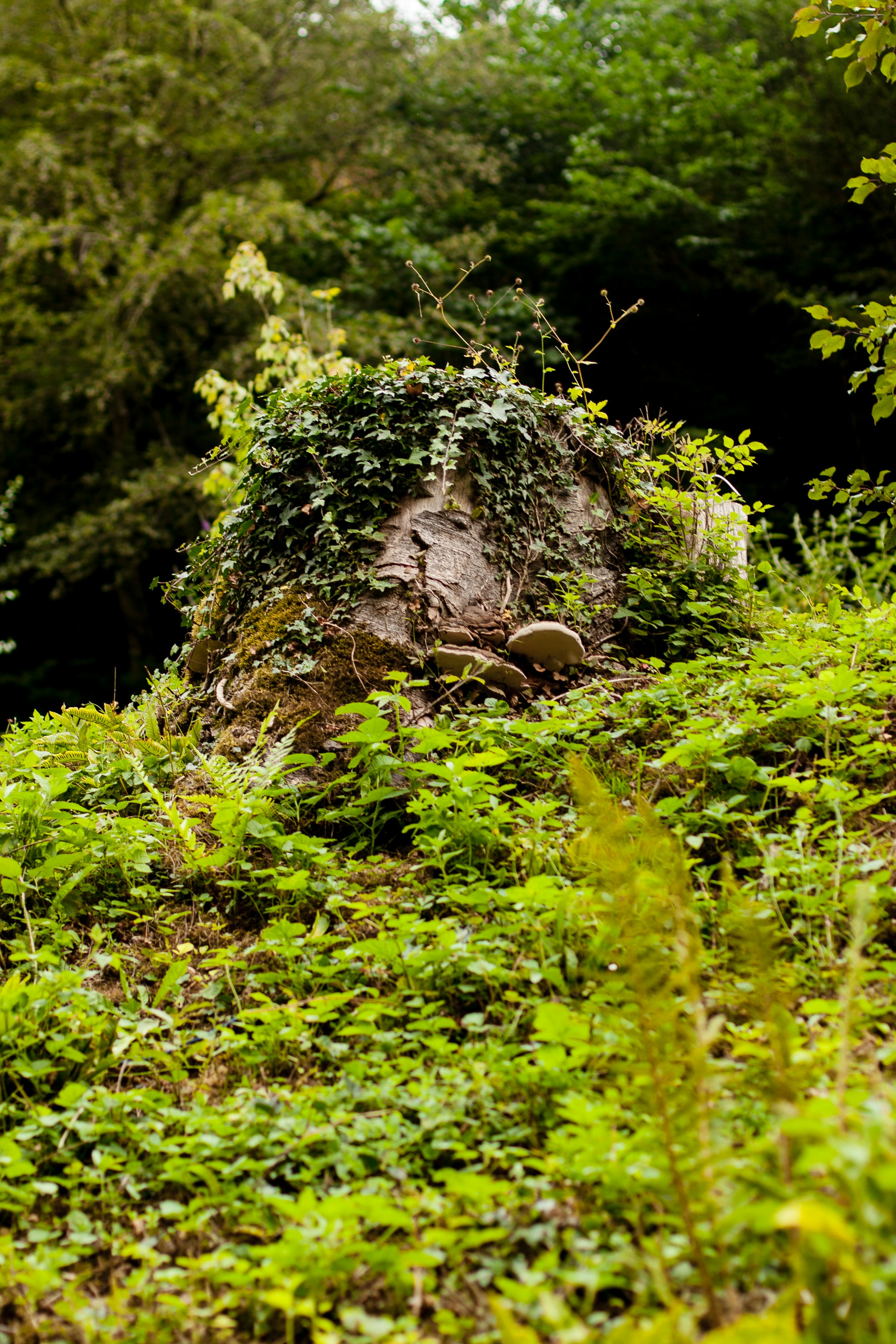 Photo by franzwaroux