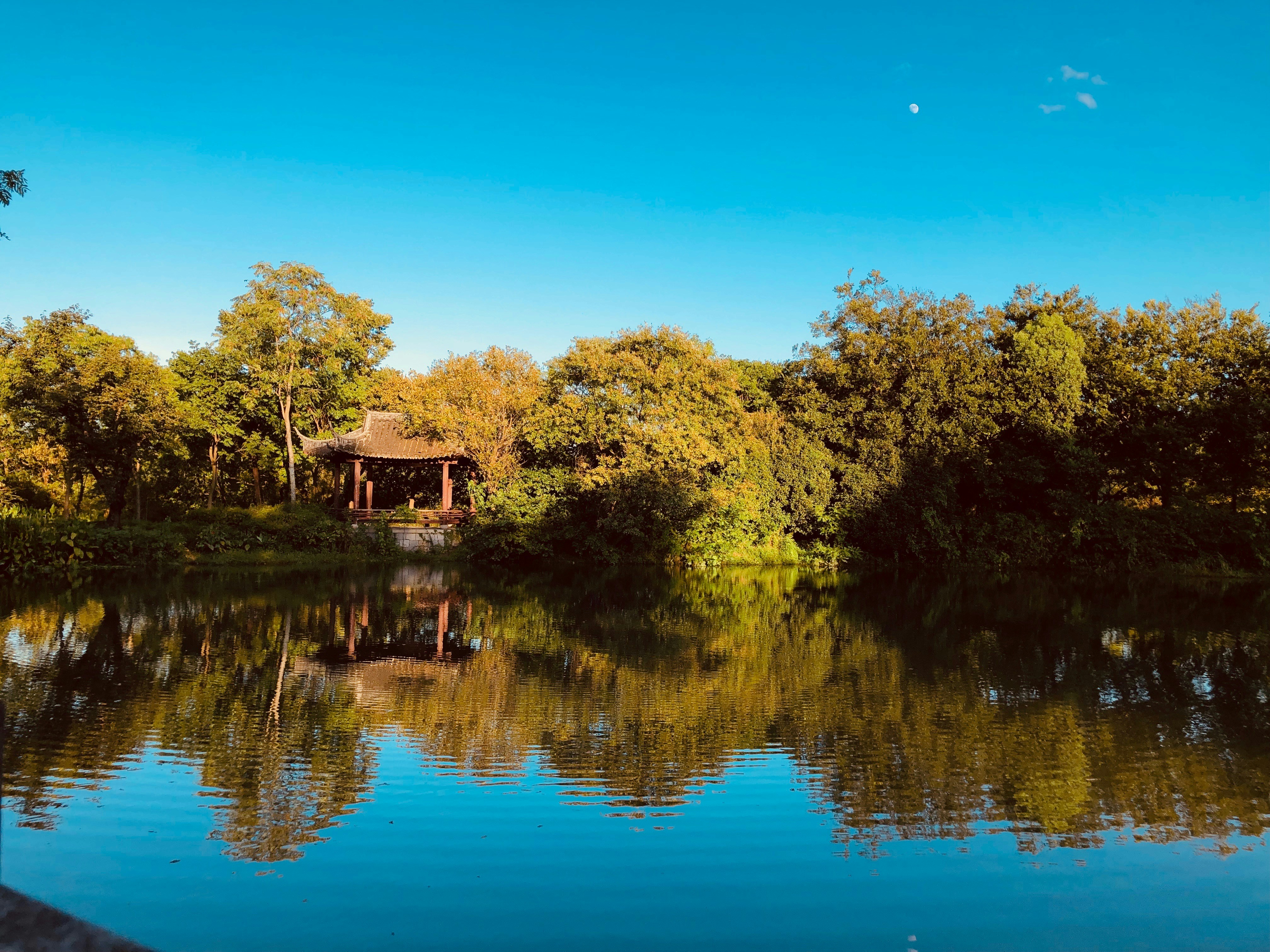 Photo by zhuanxinkeyan