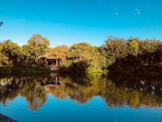 A serene pavilion in University City surrounded by lush greenery under a soft blue sky.