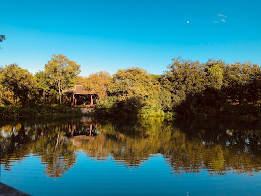 A serene pavilion in University City surrounded by lush greenery under a soft blue sky.