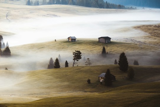 A serene, misty landscape with rolling grassy hills and three small wooden cottages dispersed across the scene. Tall pine trees dot the hillsides, and a blanket of fog lies low to the ground, creating a tranquil and mysterious atmosphere. In the background, a dense forest lines the horizon.