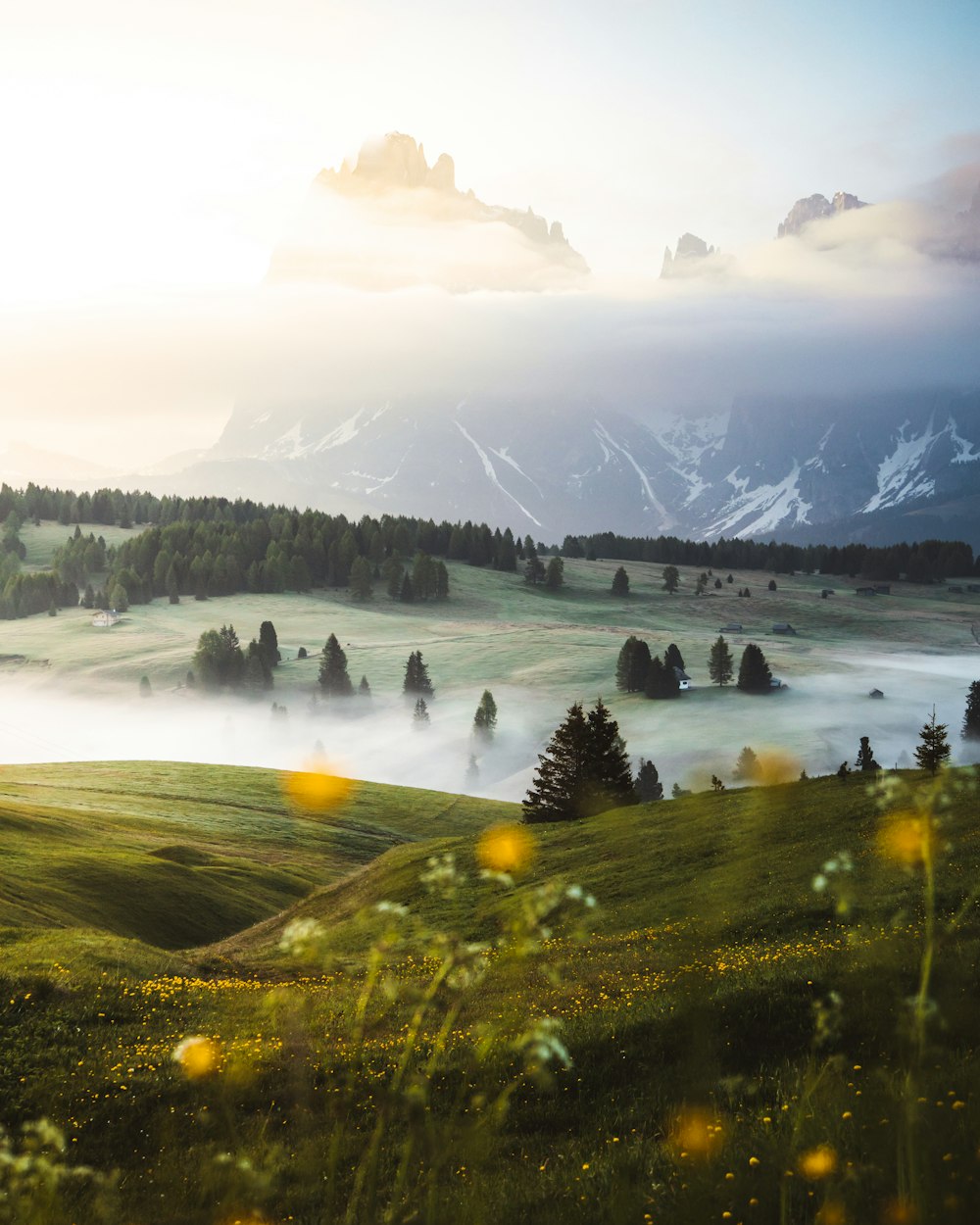 landscape photography of grass field