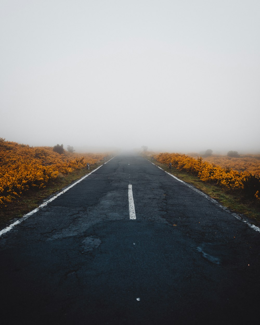 gray paved road under gray sky