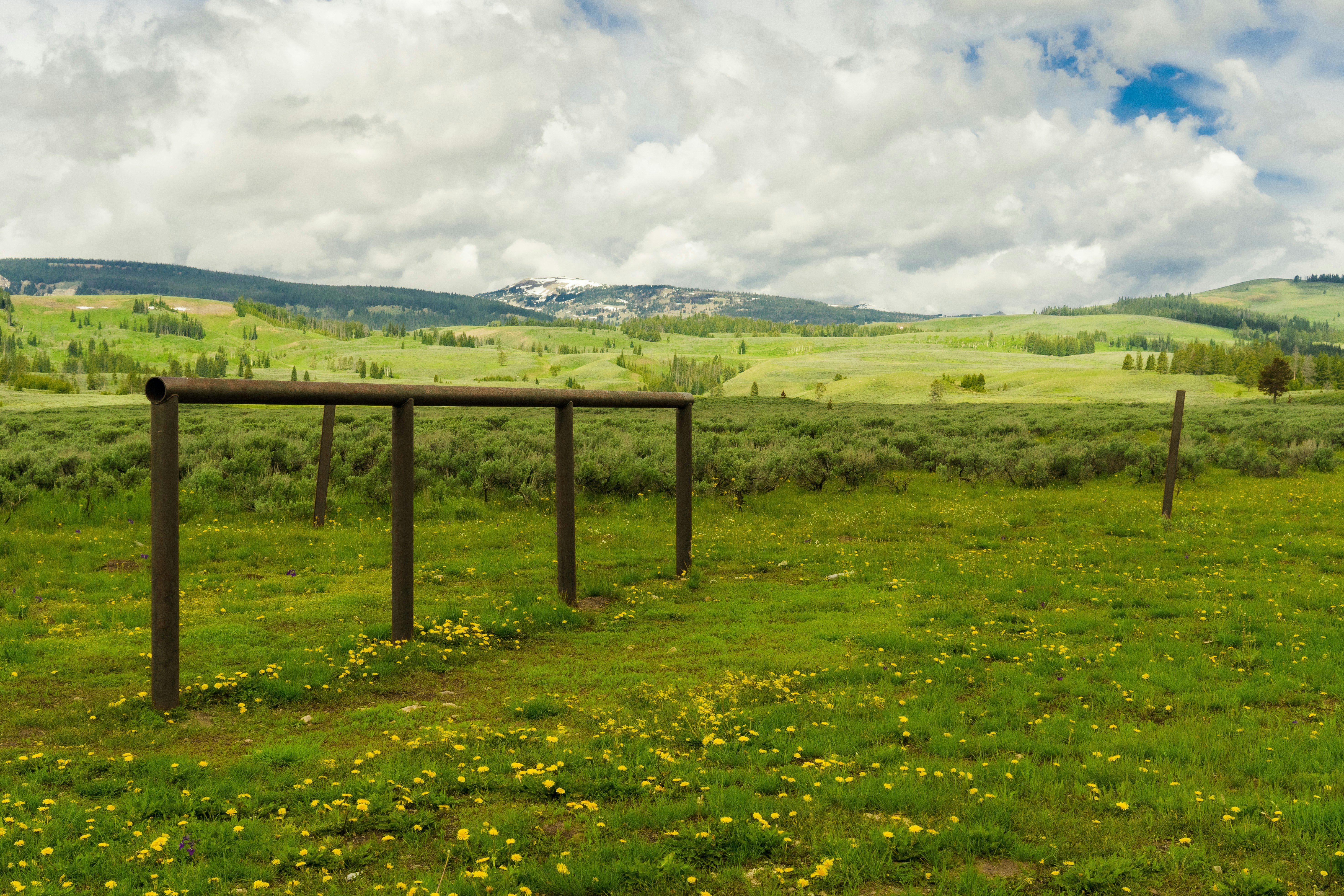 brown wooden railing on grass