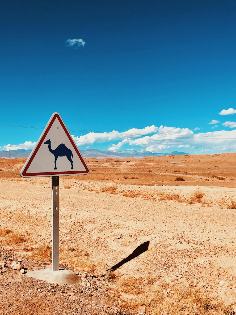 camel signage