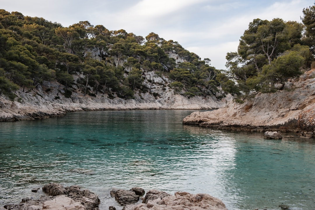  body of water during daytime rollong pin