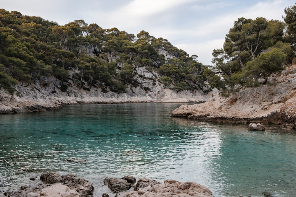 body of water during daytime