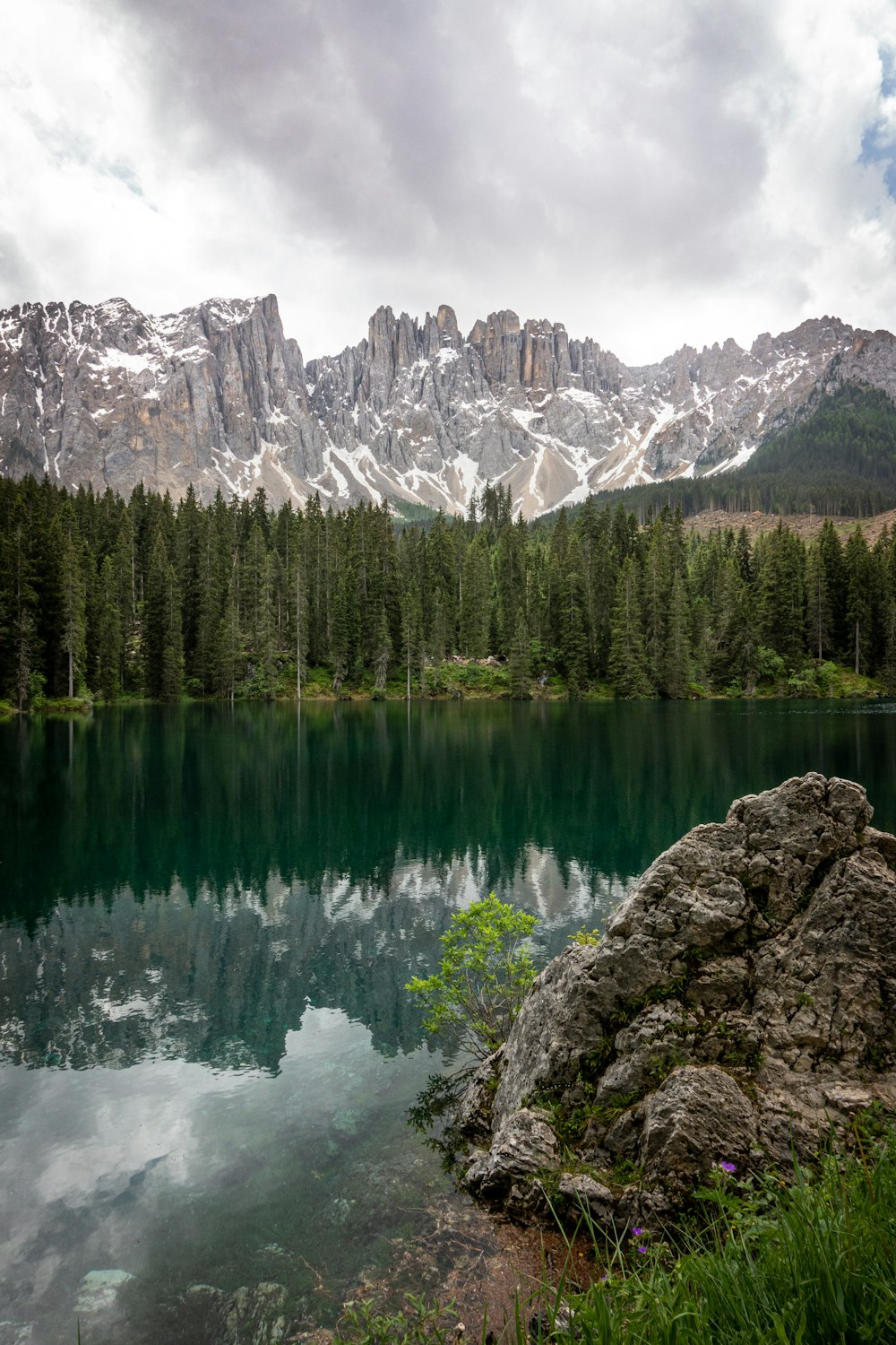 photography of lake surrounded by pine trees during daytime