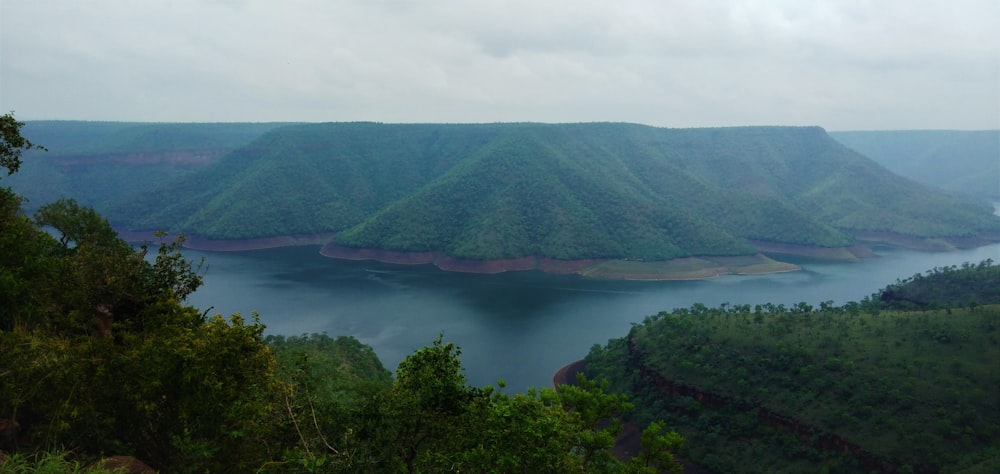 montaña de hojas verdes