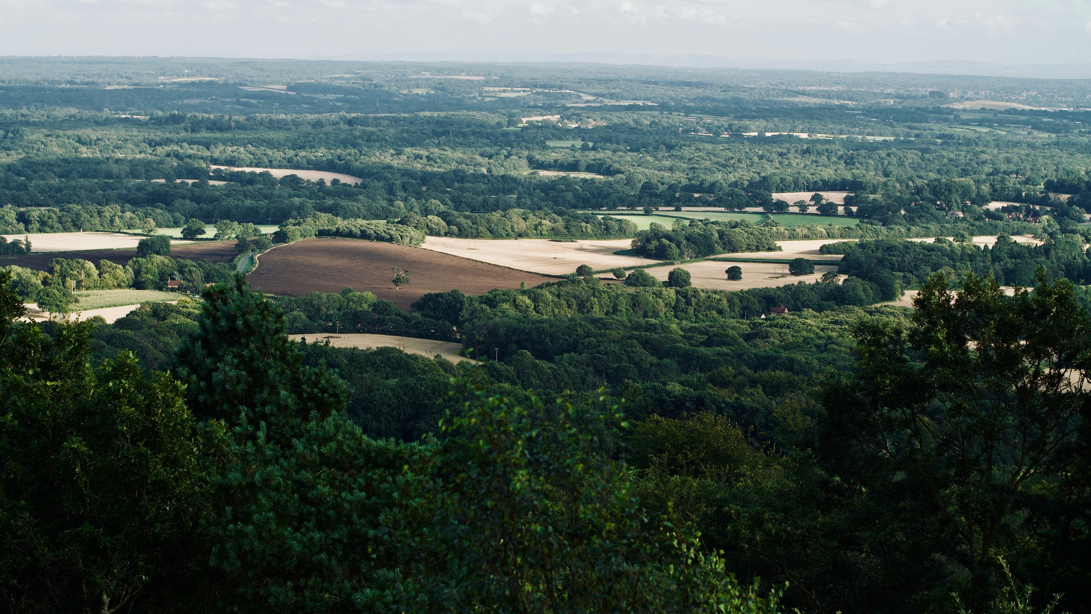 Columbia County Menu
