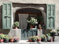 a bunch of potted plants sitting outside of a window