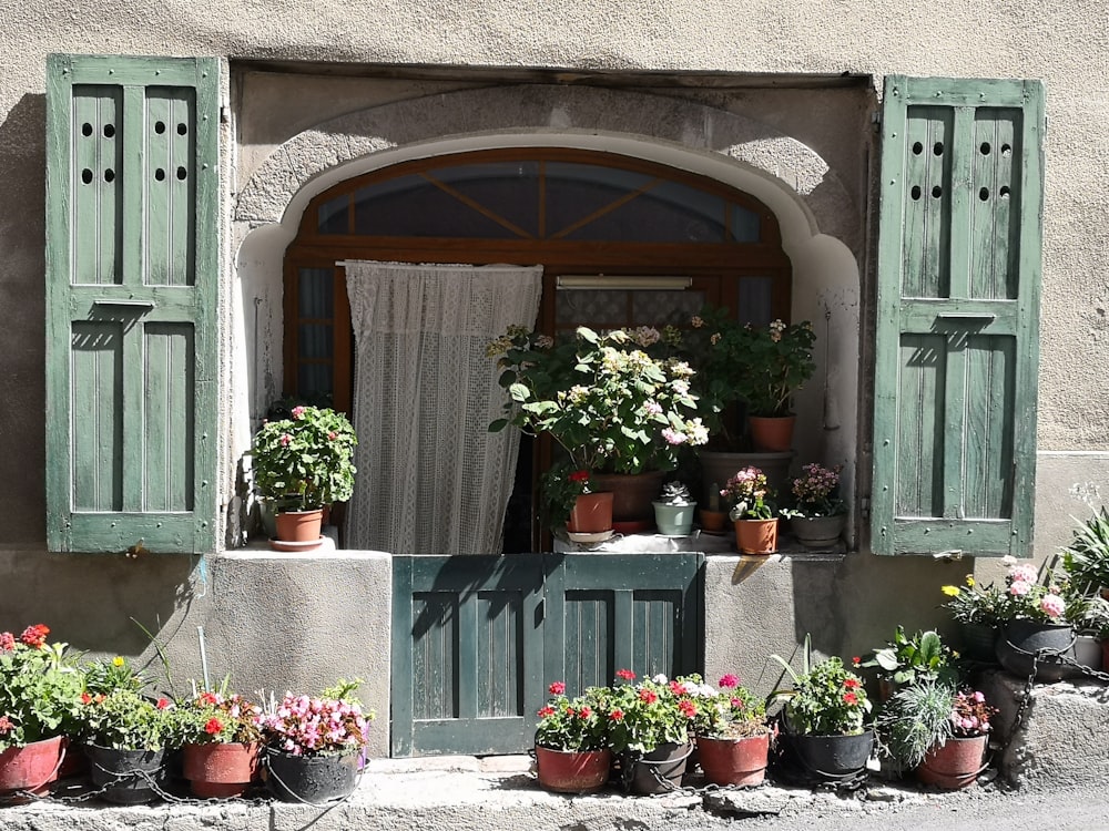 a bunch of potted plants sitting outside of a window