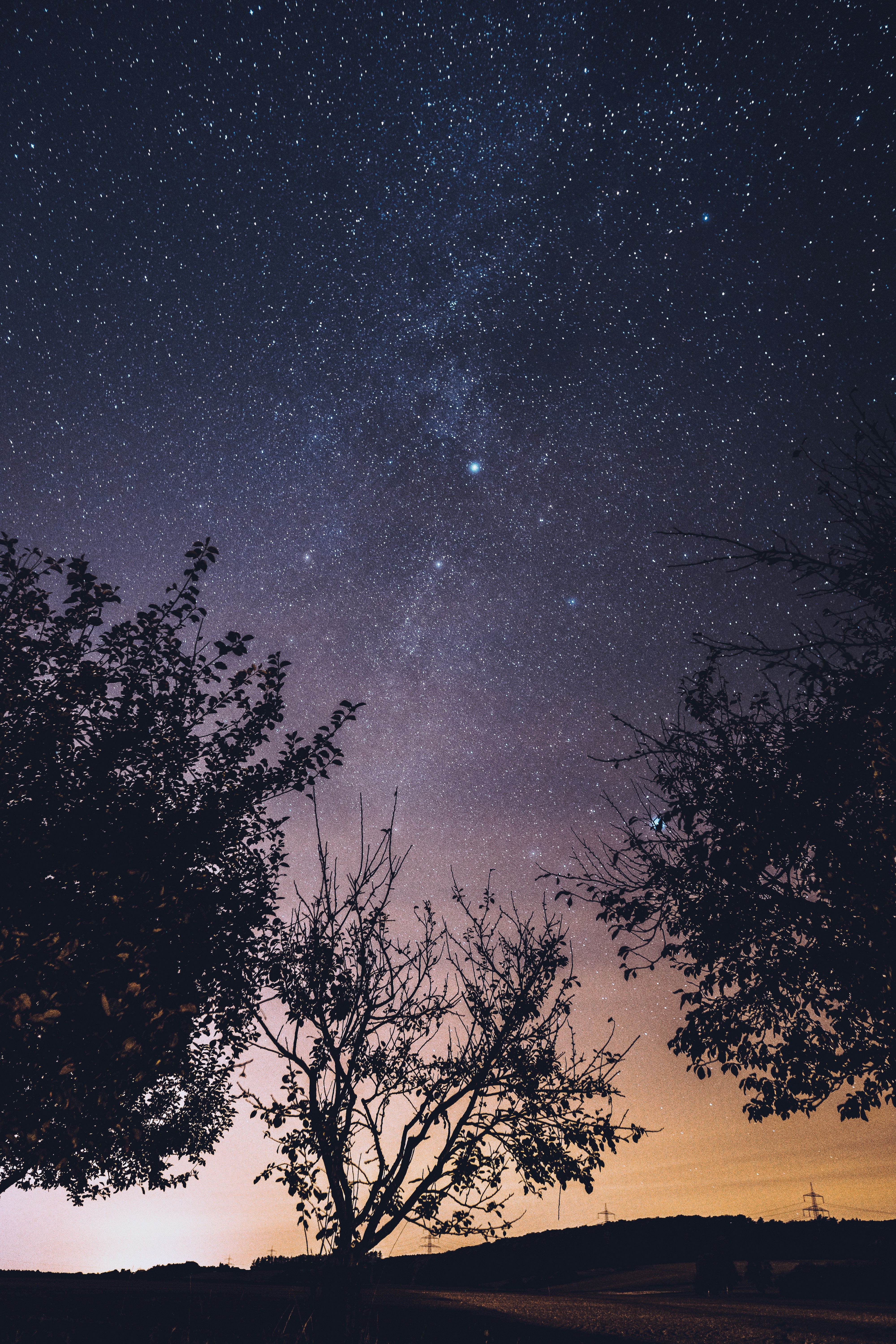 Photo by beckerworks