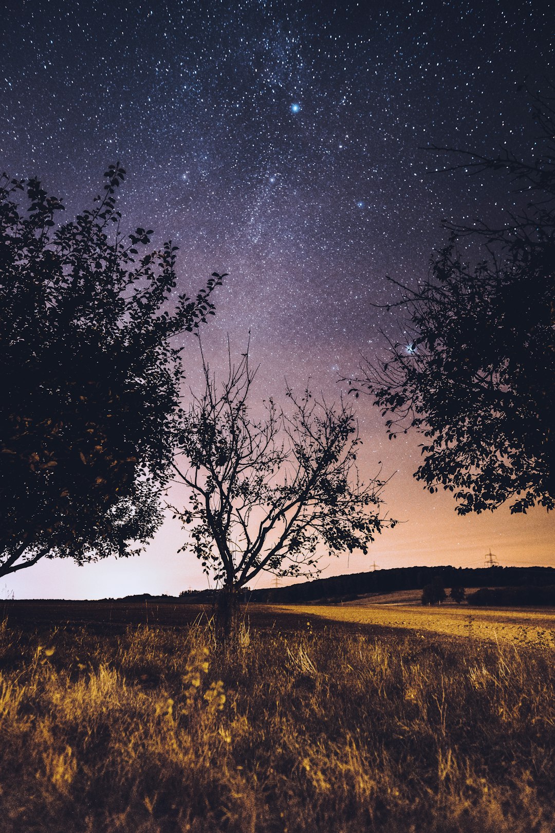 silhouette of trees under starry night during nighttime