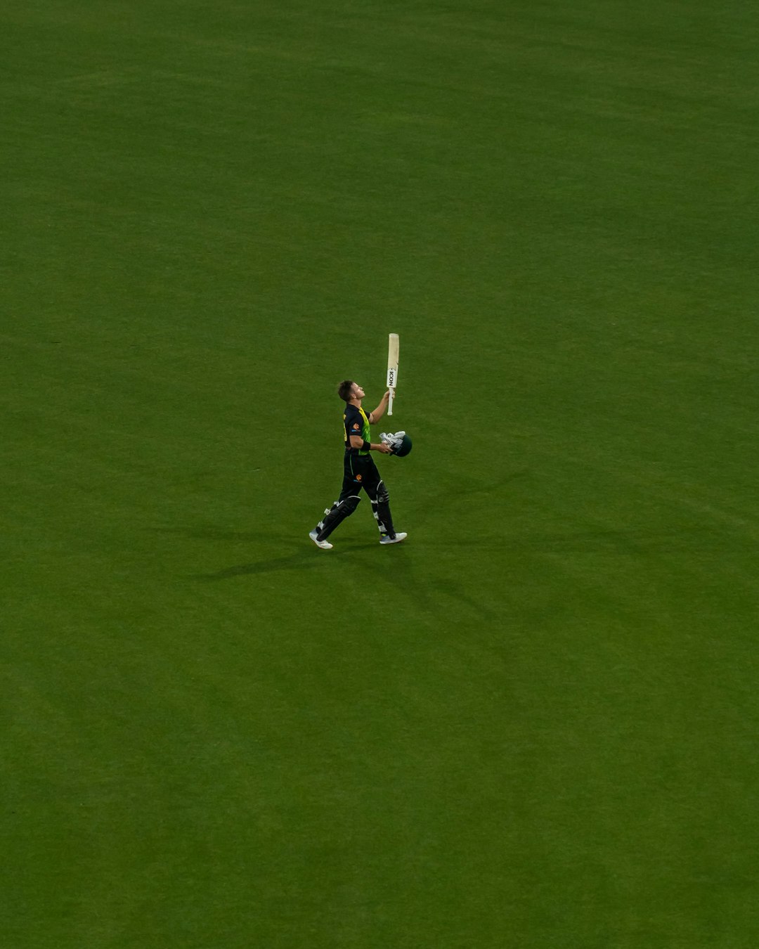 person holding a cricket paddle in a green field