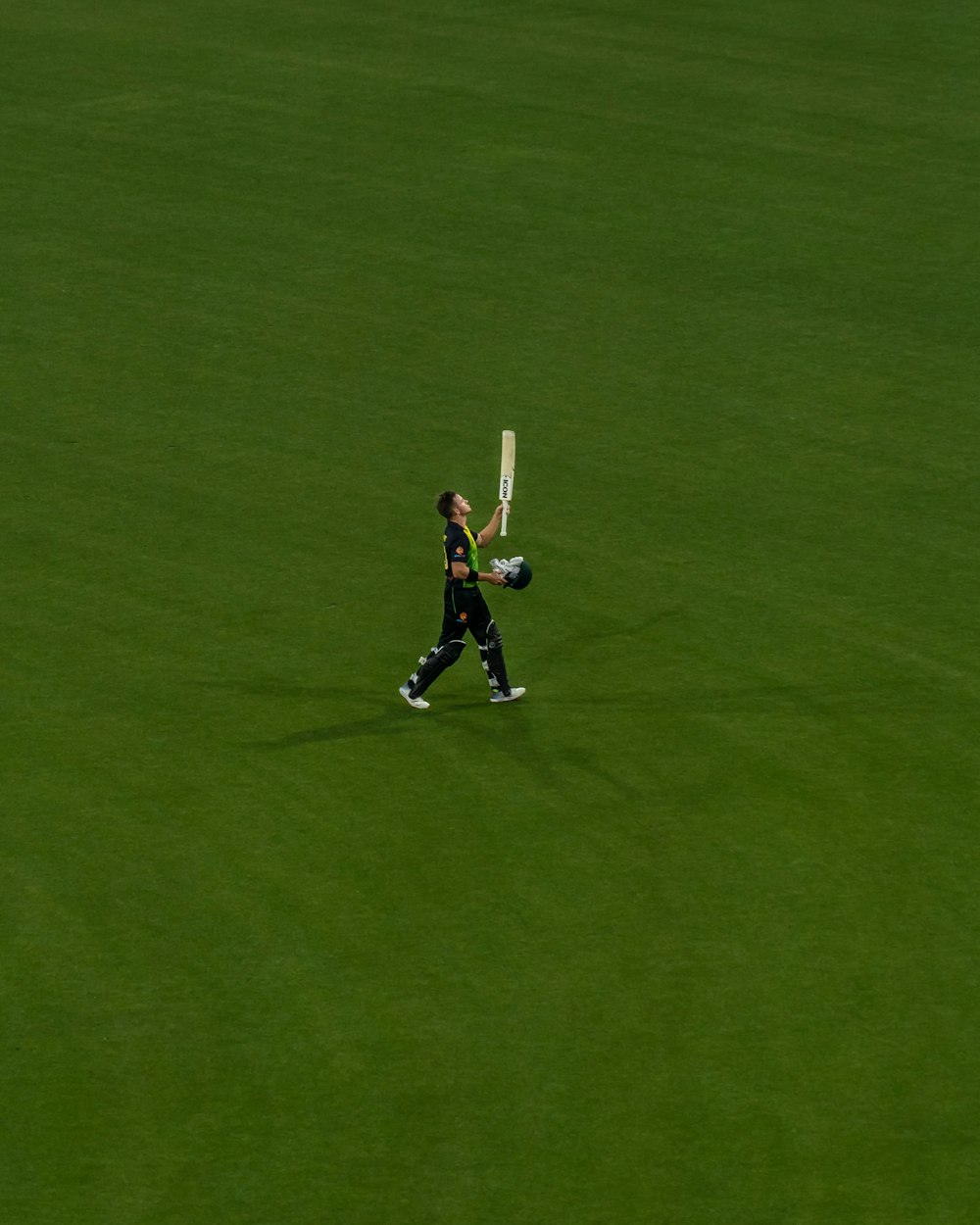 person holding a cricket paddle in a green field