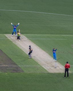 people playing cricket in a field during daytime