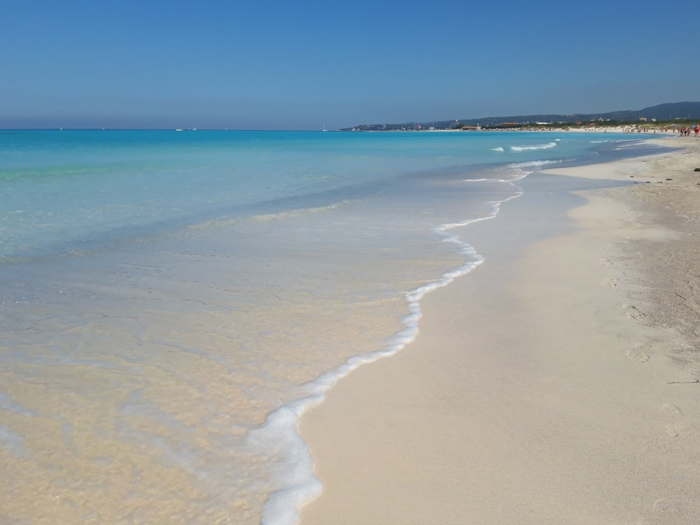 seashore during daytime