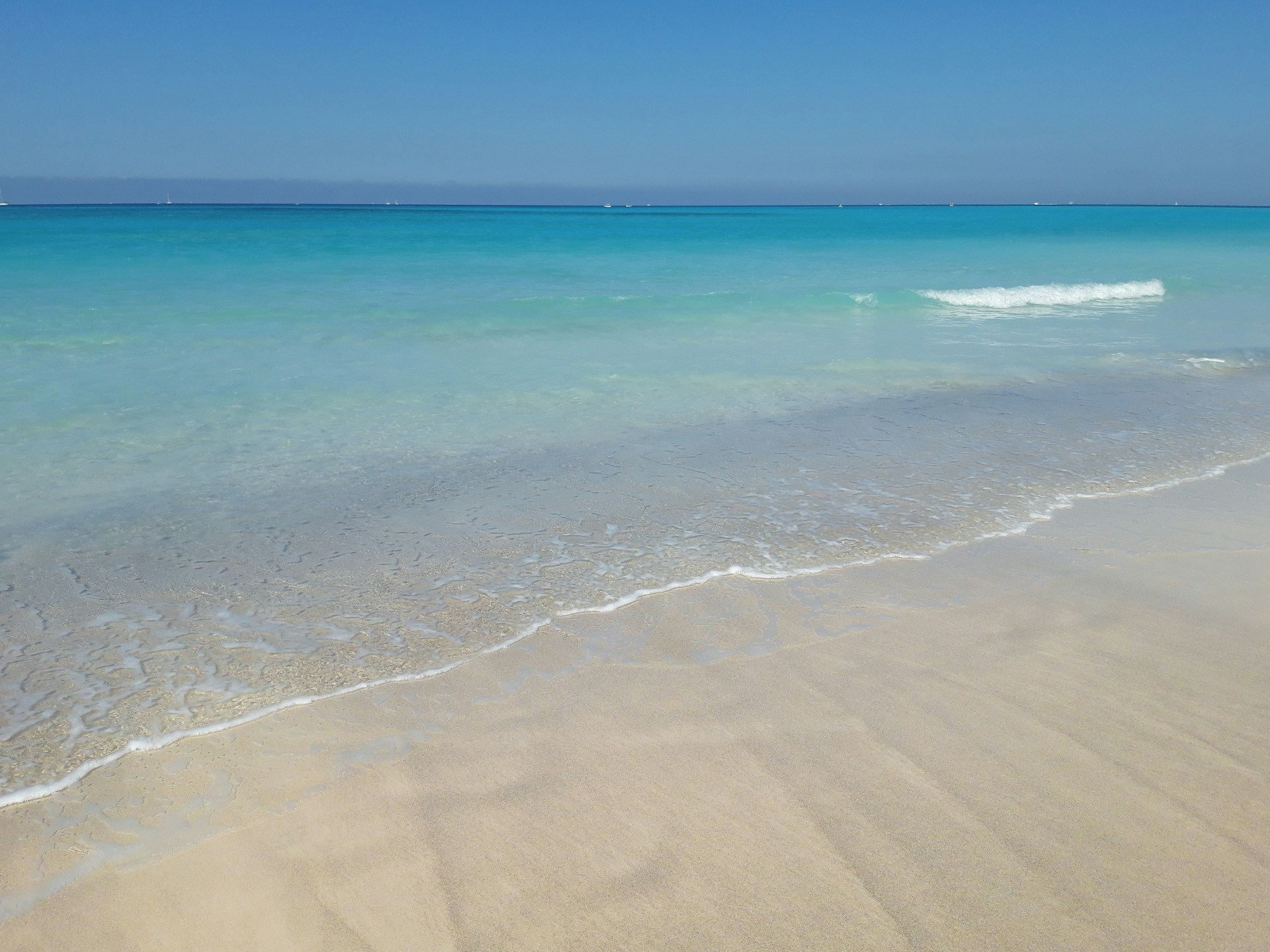 A sun-drenched beach in Cancun with turquoise waves gently lapping the shore under a clear blue sky.