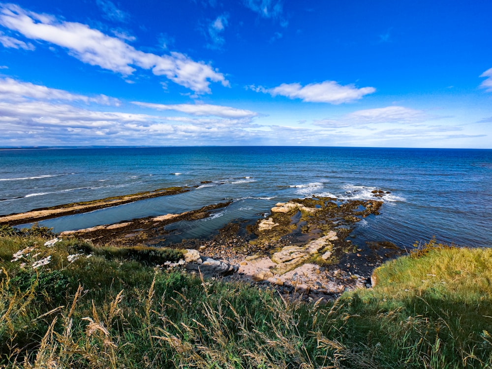 grass field with view of ocean under clear blue sky during daytime