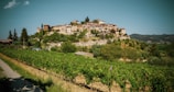 A picturesque hillside village with rustic stone buildings and lush greenery, surrounded by vineyards. The sky is clear, and the landscape is vibrant, evoking a serene and timeless atmosphere.