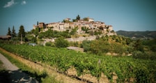 A picturesque hillside village with rustic stone buildings and lush greenery, surrounded by vineyards. The sky is clear, and the landscape is vibrant, evoking a serene and timeless atmosphere.