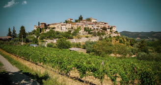A picturesque hillside village with rustic stone buildings and lush greenery, surrounded by vineyards. The sky is clear, and the landscape is vibrant, evoking a serene and timeless atmosphere.