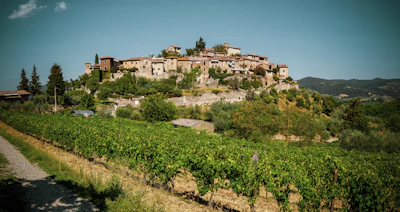 A picturesque hillside village with rustic stone buildings and lush greenery, surrounded by vineyards. The sky is clear, and the landscape is vibrant, evoking a serene and timeless atmosphere.