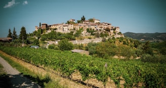 Chianti: tuscany: best day trips from florence