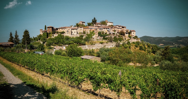 Chianti: tuscany: best day trips from florence