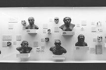 Various busts and skull models are displayed in a museum exhibit. Each model appears to represent different stages of human evolution and is accompanied by informational plaques. The exhibit is well-lit, highlighting the details on the busts and skulls.