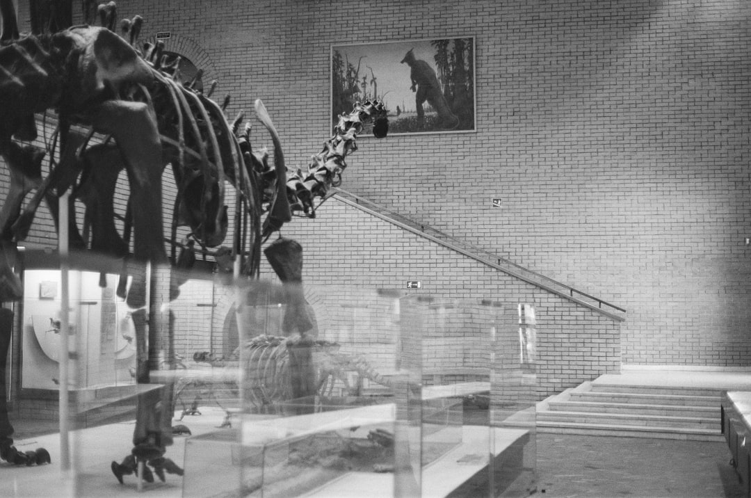 grayscale photography of dinosaur bones inside a museum