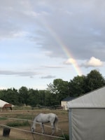 A picturesque scene of a farm with a white horse grazing in the foreground. The sky is partly cloudy, and a rainbow arcs across the sky. In the background, there is a brown horse and dense green trees. Farm buildings are visible on the right side of the image.