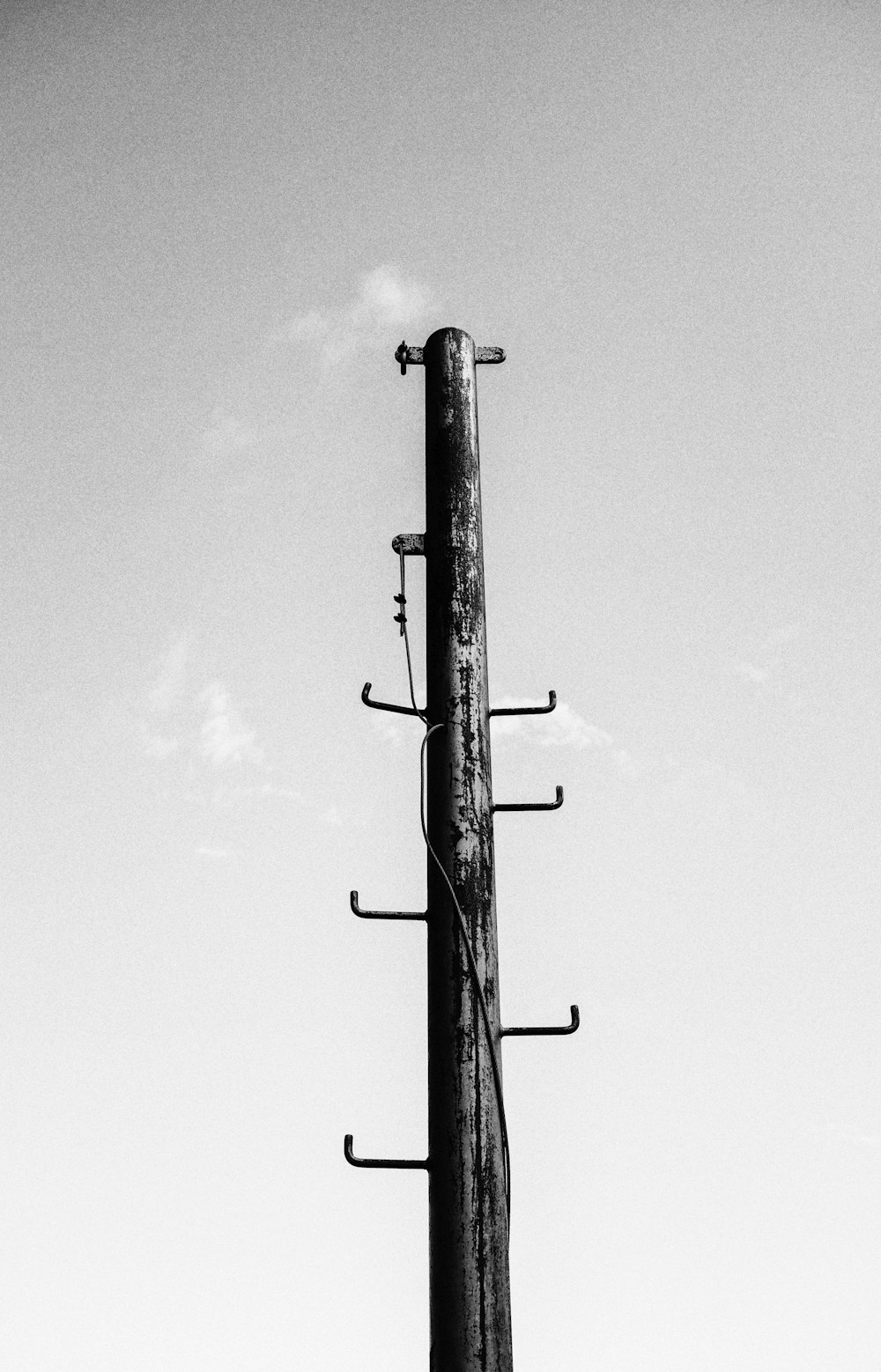 grayscale photo of utility pole