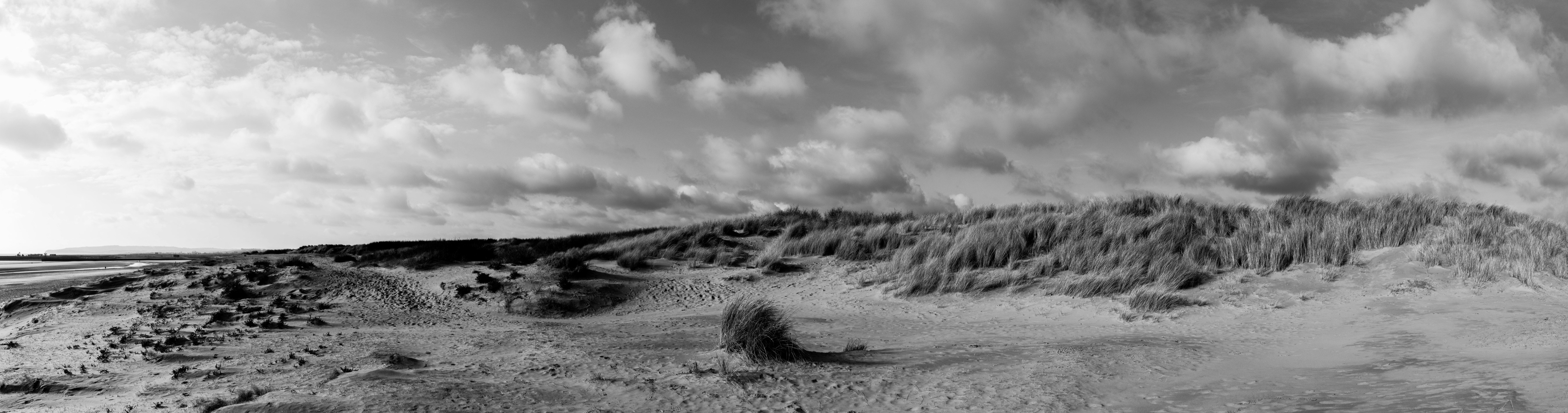 Photo by bychelseyvonk