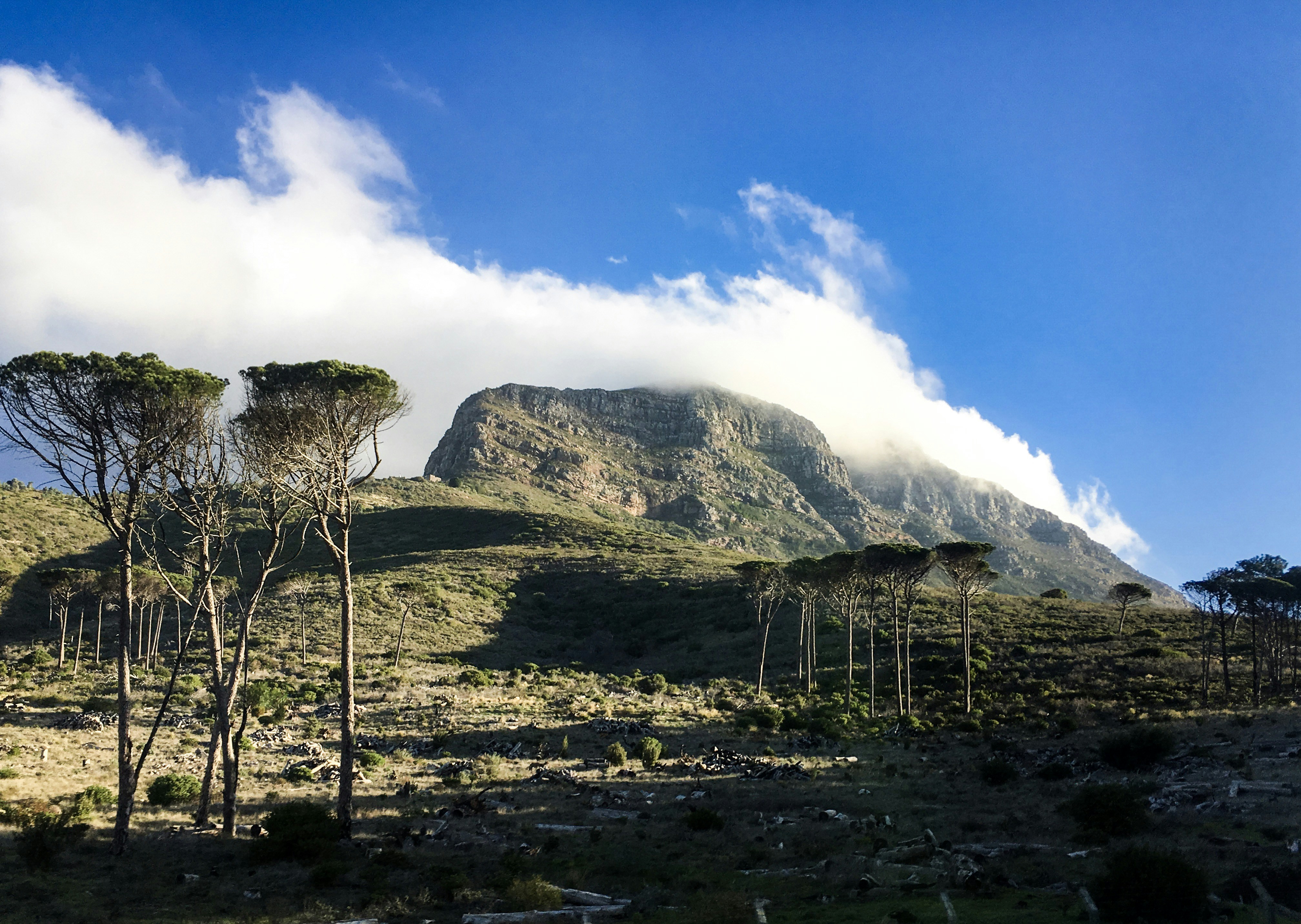 Survival Strategies That Would Impress a Navy SEAL (image credits: unsplash)