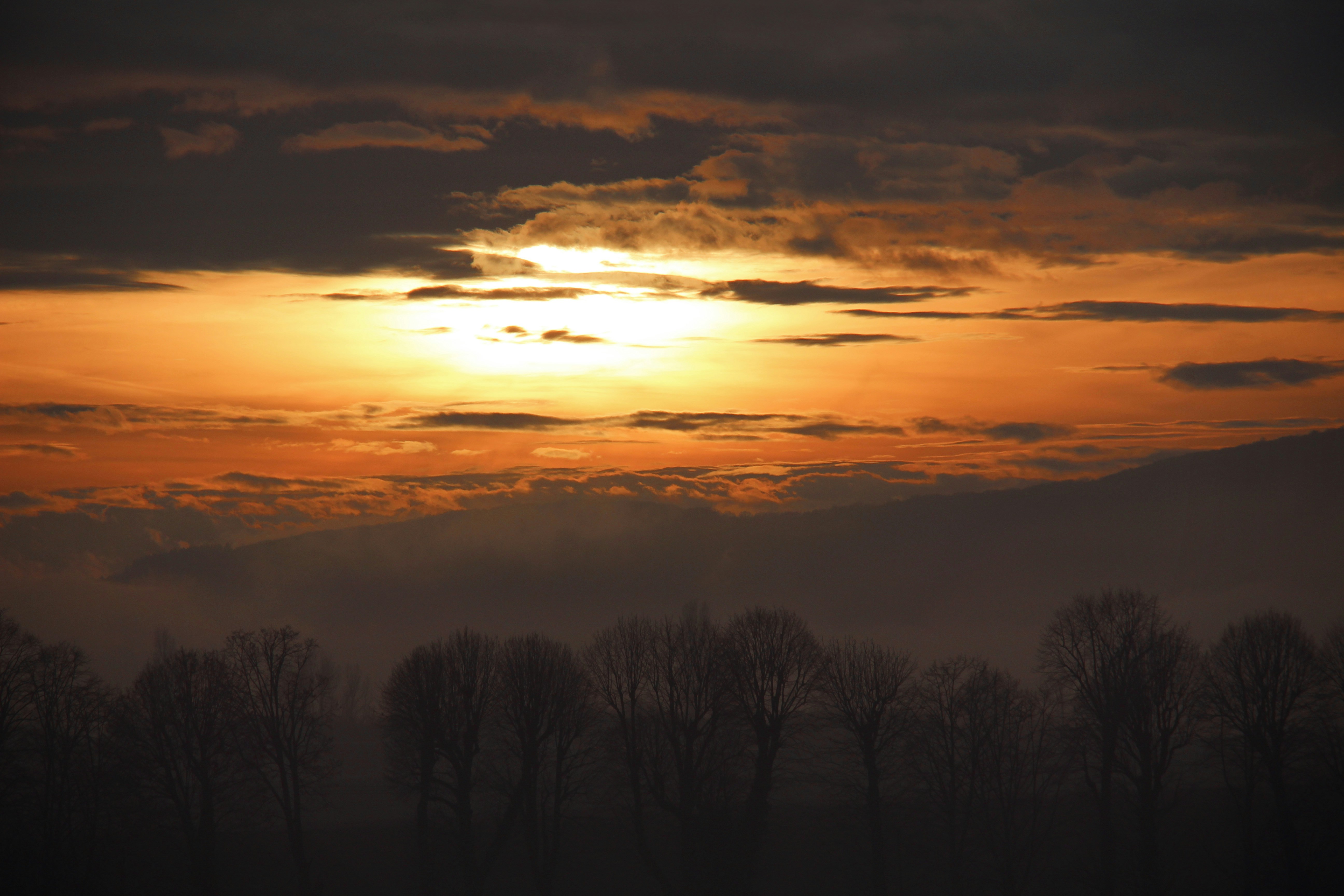 Photo by xerty