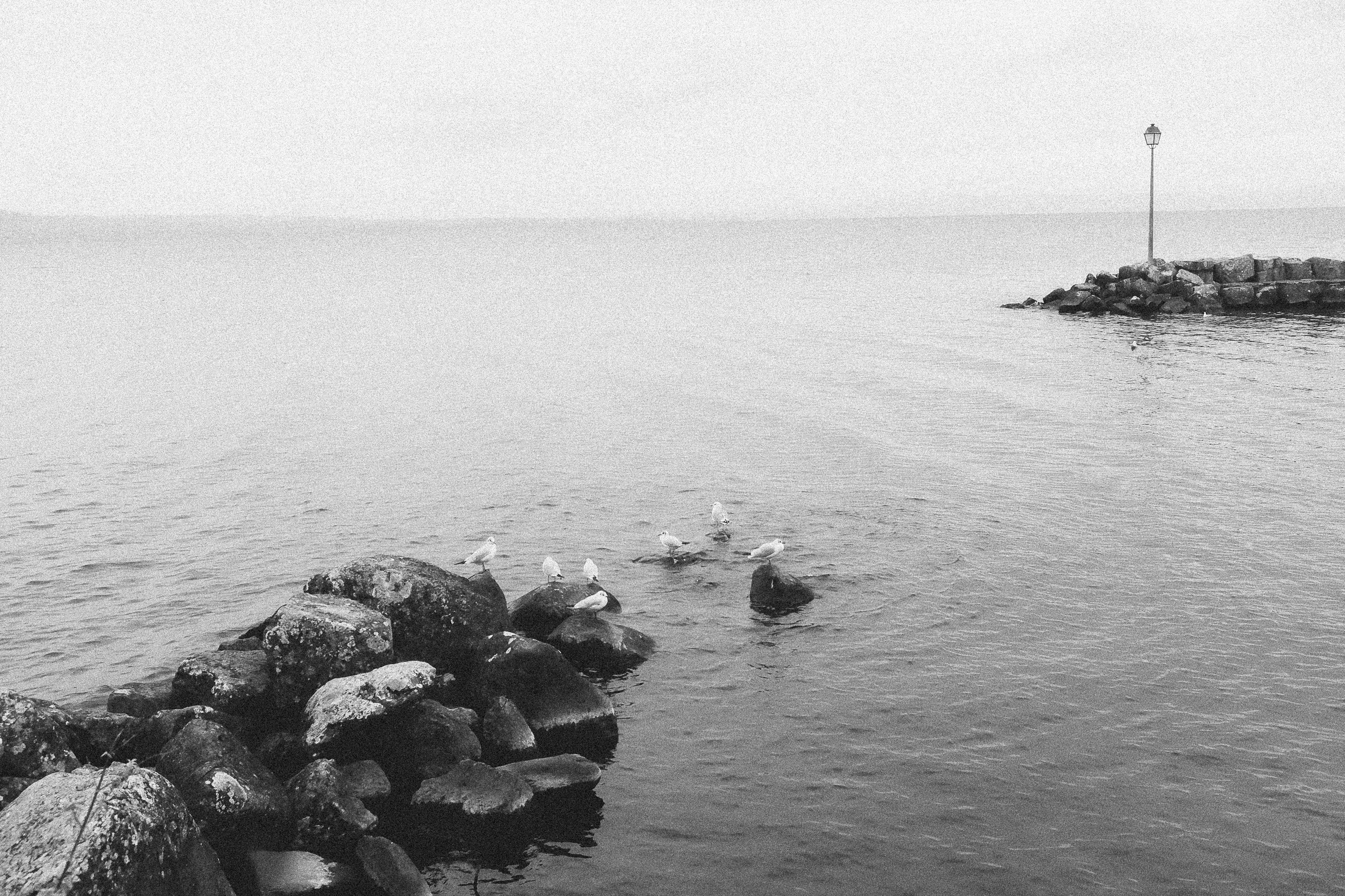 Photo by tristan_gevaux