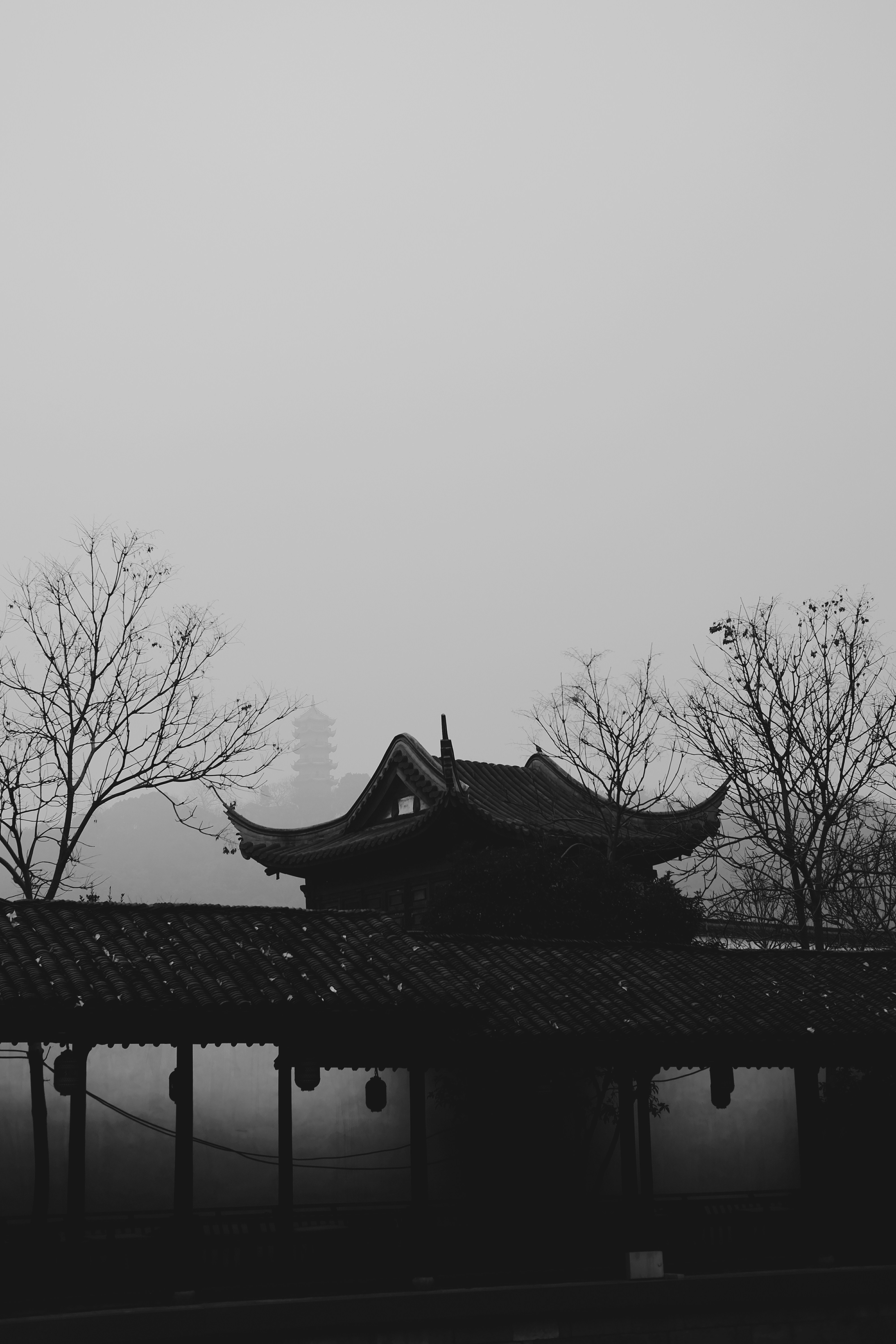 Photo by kennyzhang29