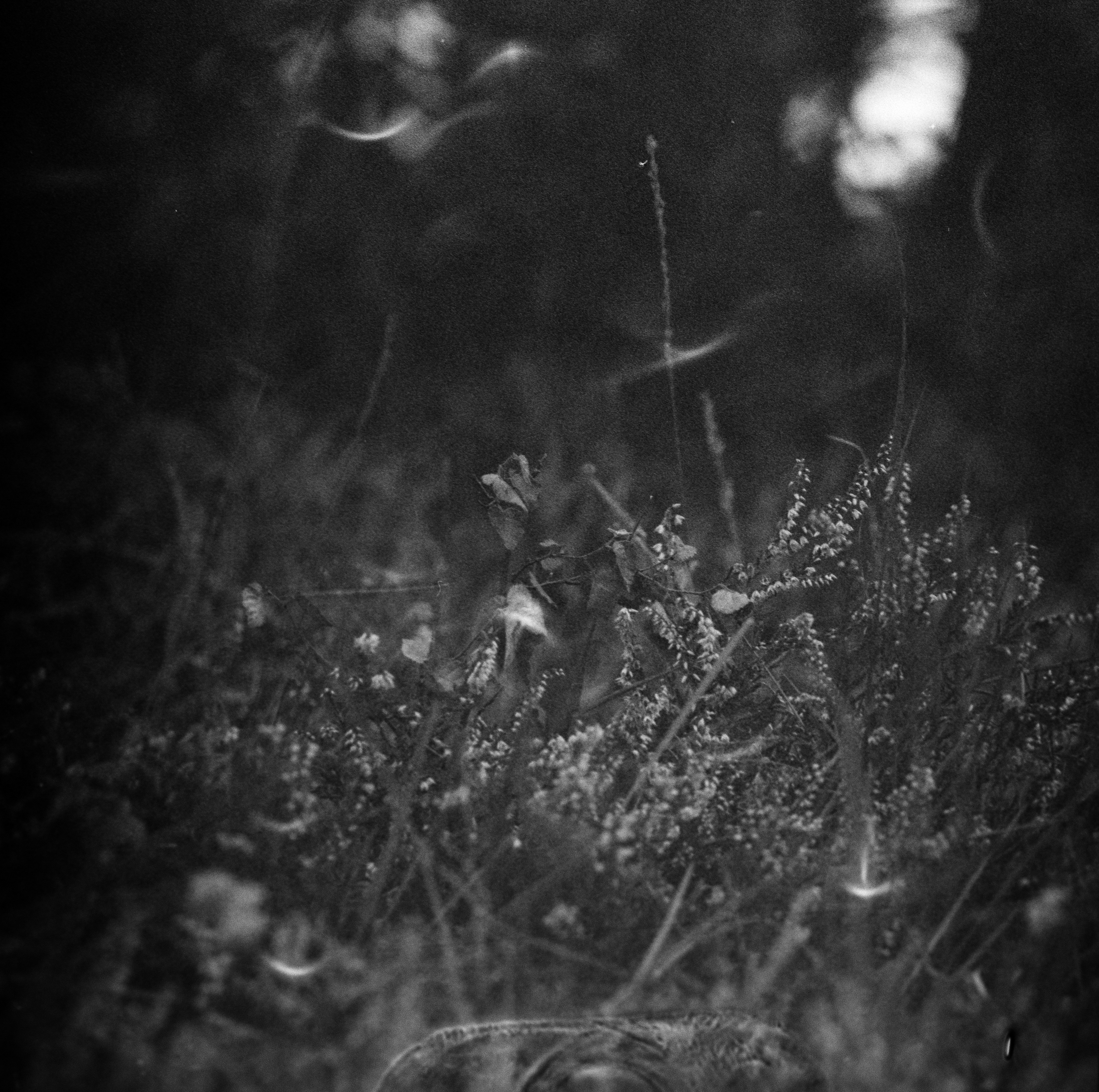 Photo by anniespratt