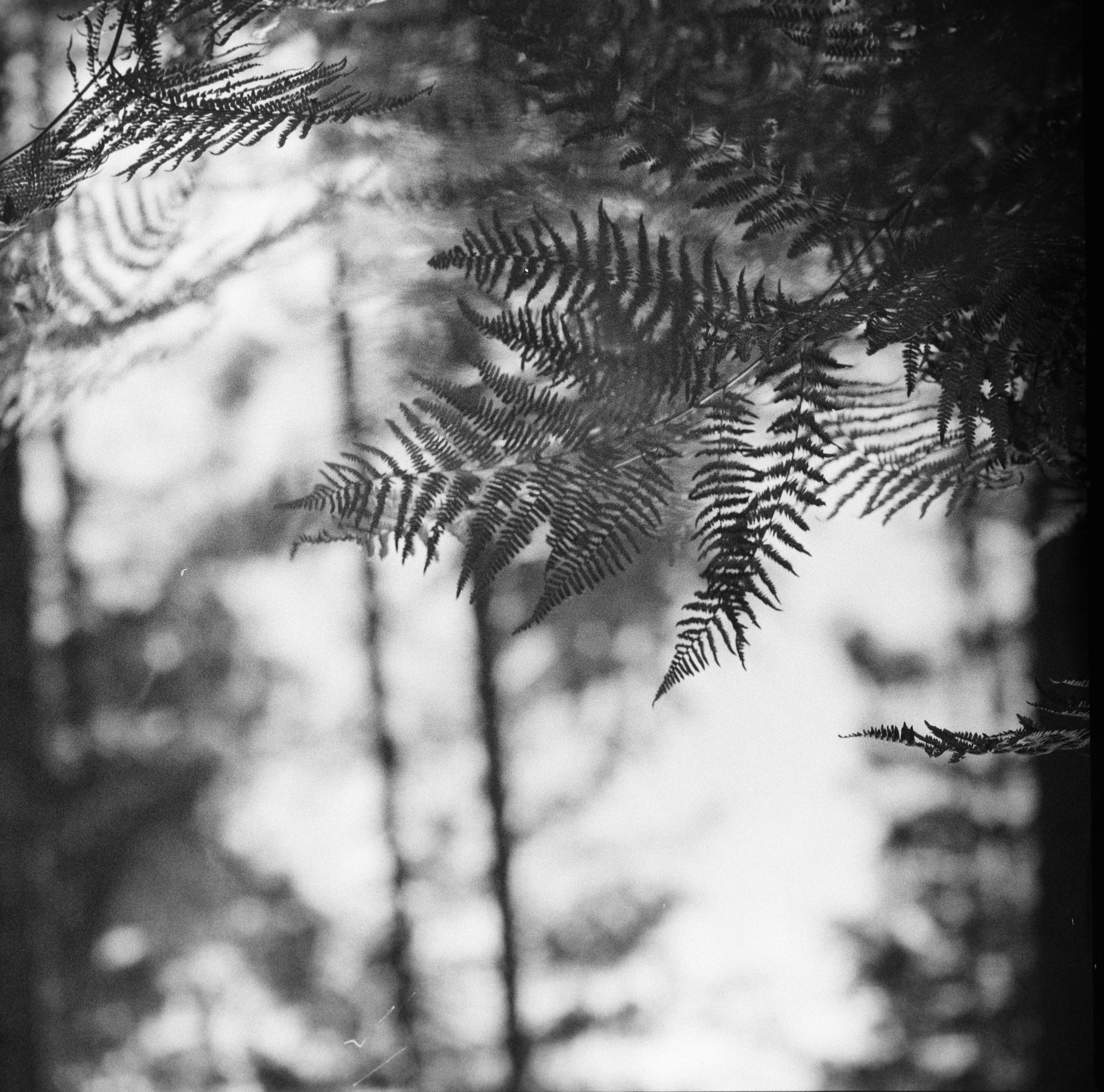 Photo by anniespratt