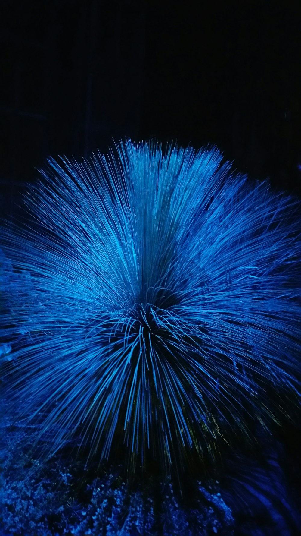 luce LED blu