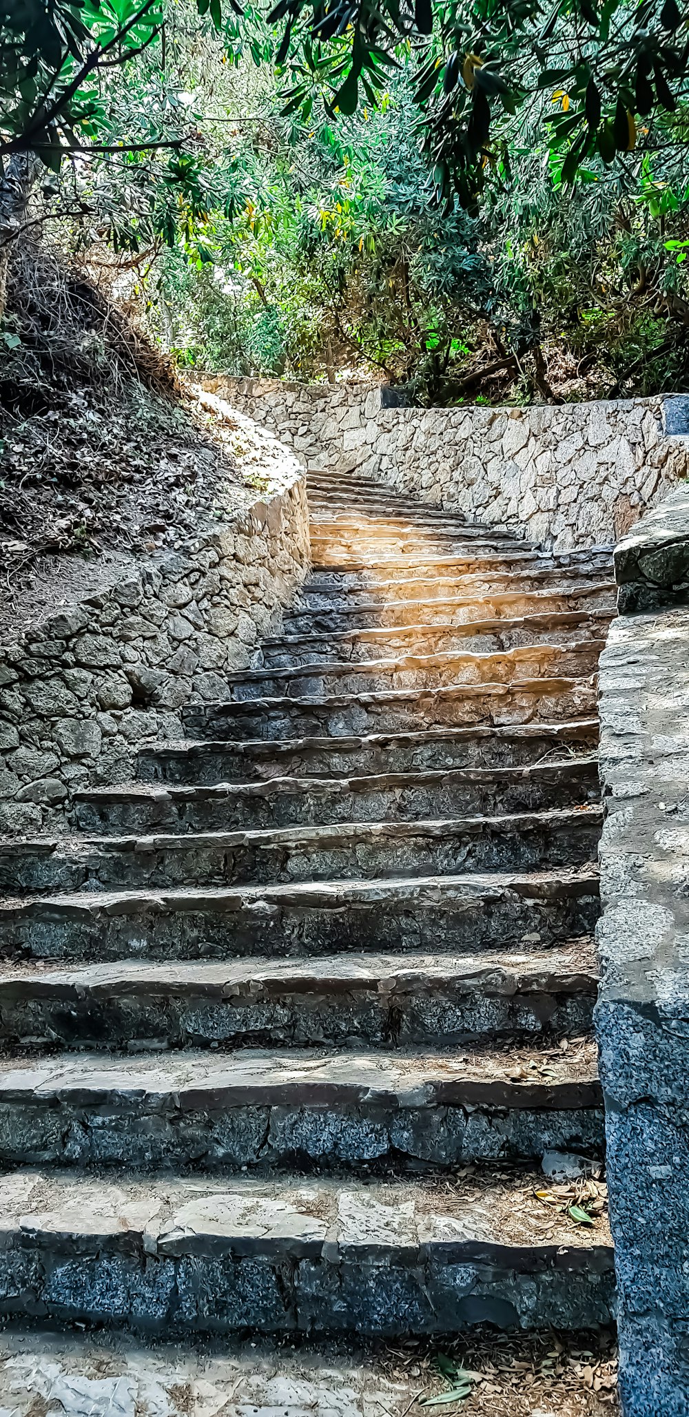 una serie di gradini di pietra che portano alla cima di una collina