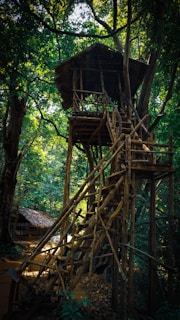 a wooden structure in the middle of a forest