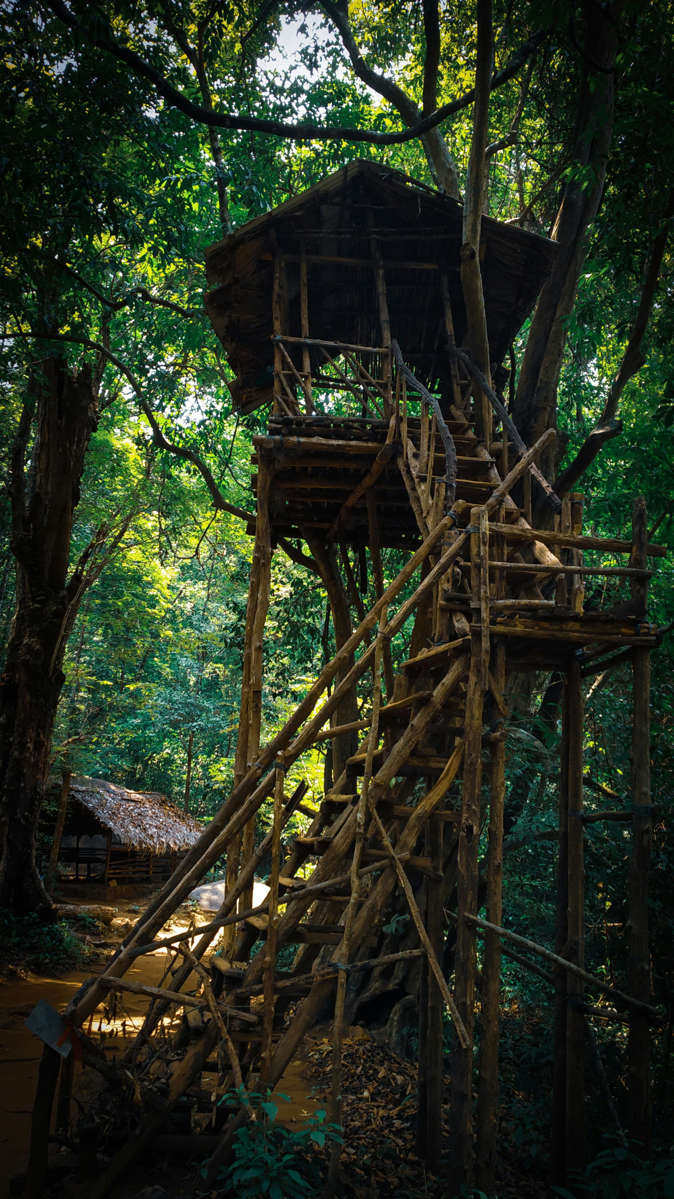 Treehouse in hill stations of Gavi